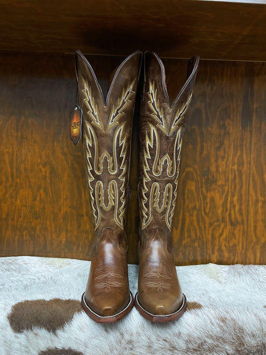 APPALOOSA CAFÉ ALTA