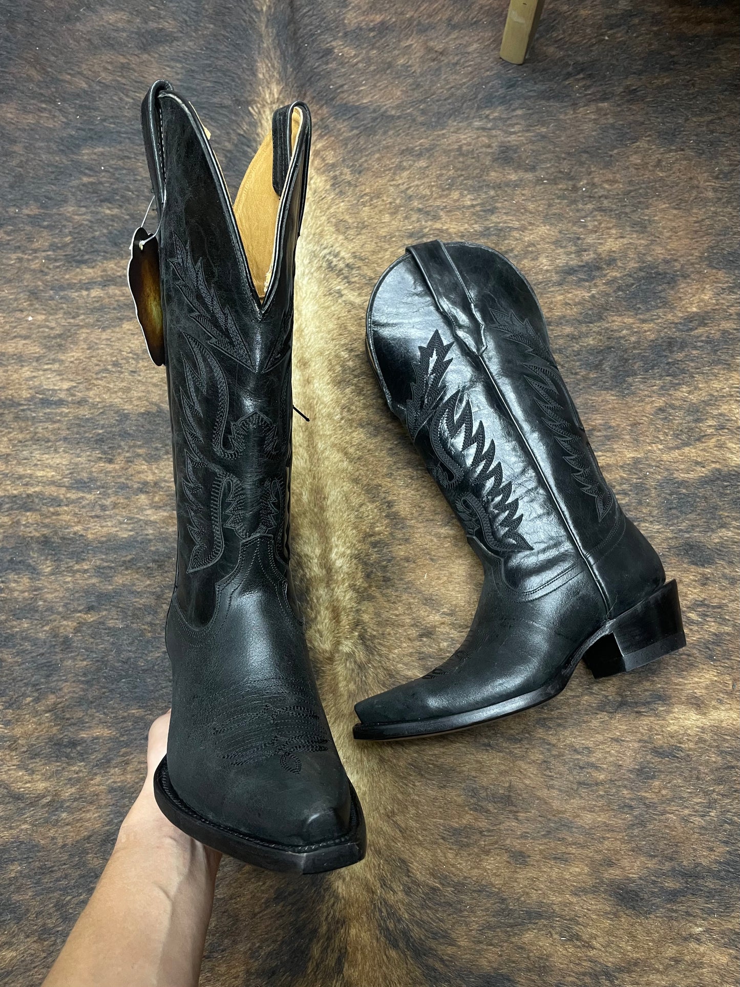 APPALOOSA NEGRA 14"