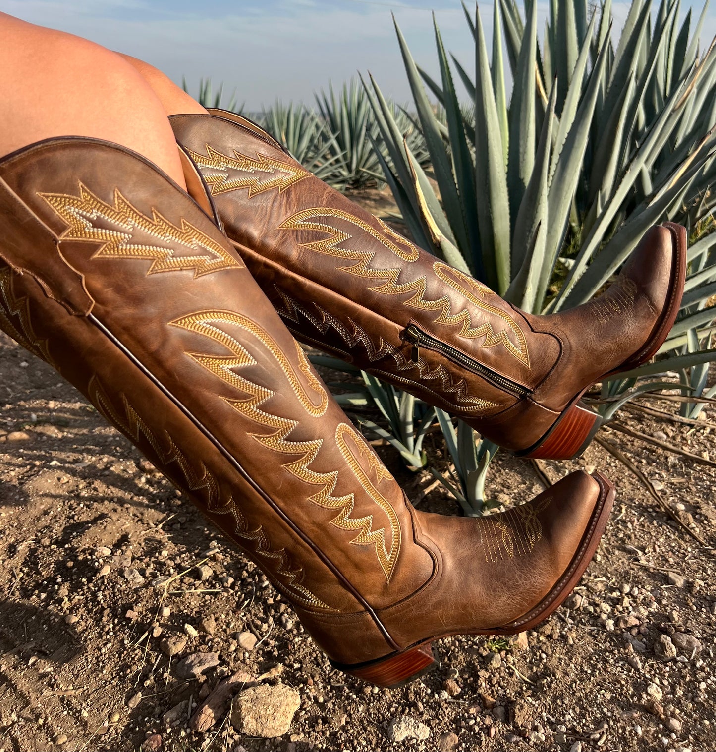 APPALOOSA CAFÉ ALTA