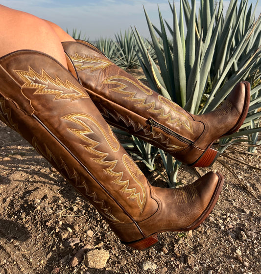 APPALOOSA CAFÉ ALTA